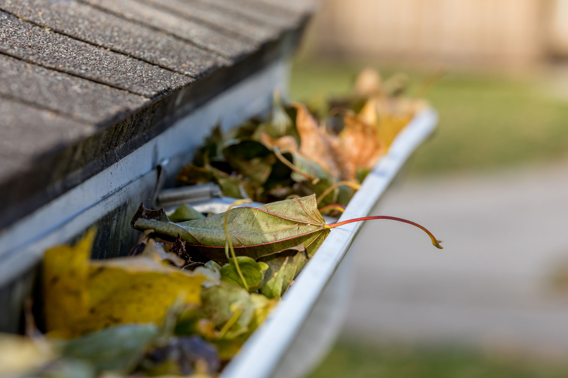 Coastal Roofing Gutter Cleaning