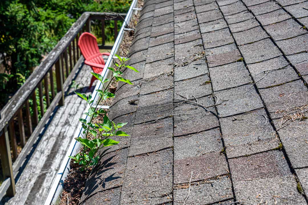 Cleaning your roofing system